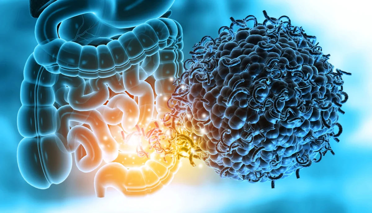 Santé intestinale : comment prendre soin de votre microbiote naturellement