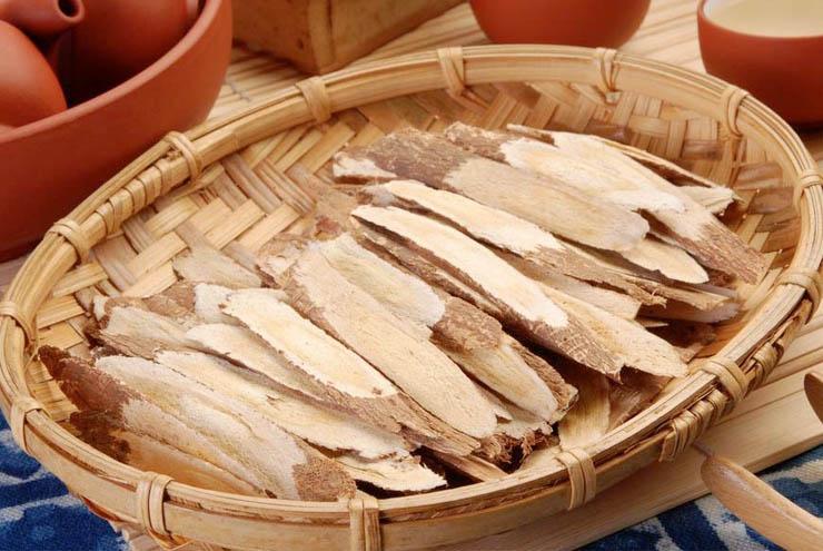 Astragale: ses bienfaits