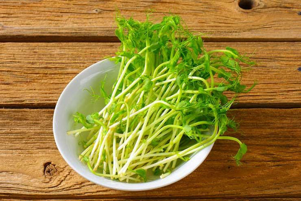 Les suppléments d'enzyme