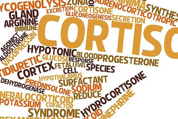 Les extraits glandulaire