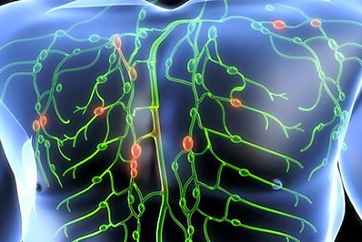 Nettoyer votre lymphe