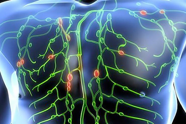 Nettoyer votre lymphe