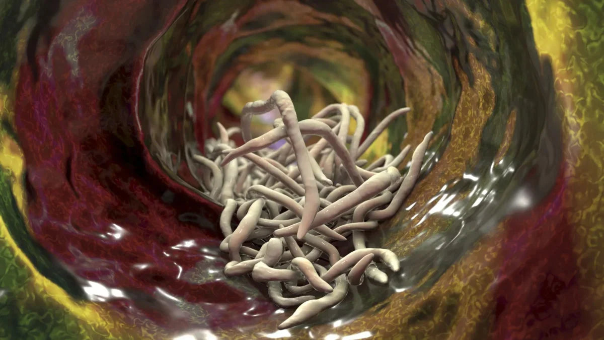 La cure de parasites : mode passagère ou sagesse millénaire?